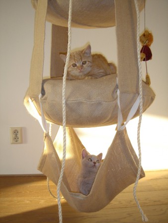 Hier waren wij nog heel erg klein en vrouwtje had een trapeze voor ons gekocht!!!!....